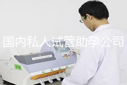 国内私人试管助孕公司
