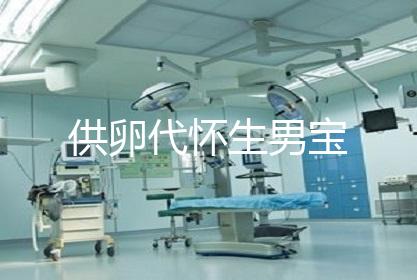 供卵代怀生男宝
