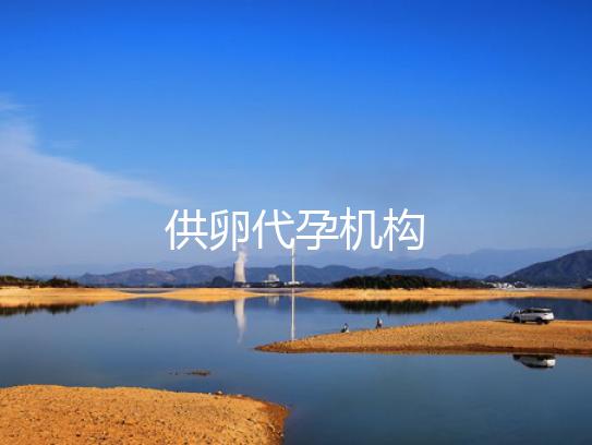 供卵代孕机构